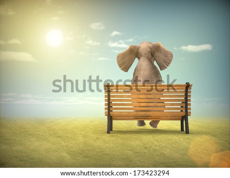 Elephant sitting on a bench