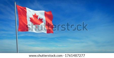 Similar – Image, Stock Photo Flags in front of the Reichstag