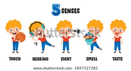 Five Senses Concept With Human Organs Сток-фото © 