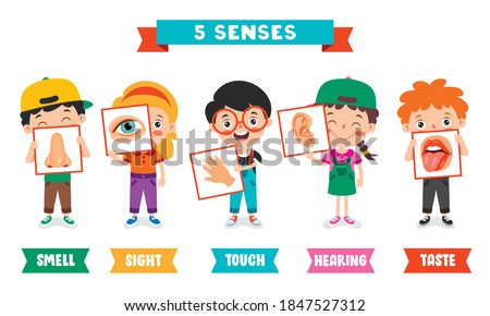 Five Senses Concept With Human Organs Foto d'archivio © 