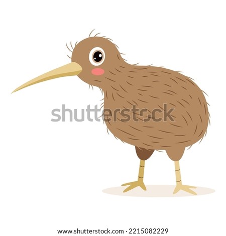Cartoon Drawing Of A Kiwi Bird