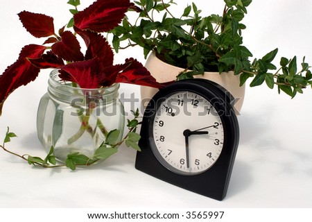 Alarm Clock and Plants for time emphasis