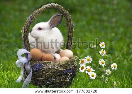 Easter basket with eggs and the Easter bunny