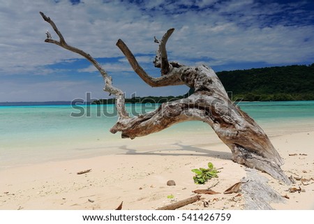 Big dry tree trunk pointing to the NNE half-buried on the white sands at the northern tip of the beach with Dolphin island on the background. Port Olry-Espiritu Santo island-Sanma province-Vanuatu. Stock fotó © 