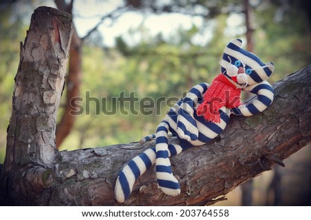 Handmade toy cat wearing red scarf is laying on a pine stem