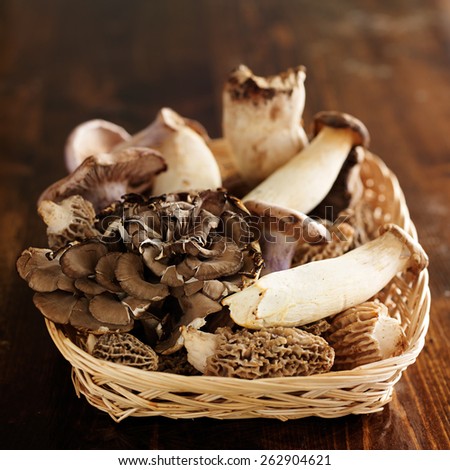 basket of assorted gourmet mushrooms such as maitake, morel, king trumpet, and blue oyster mushrooms.