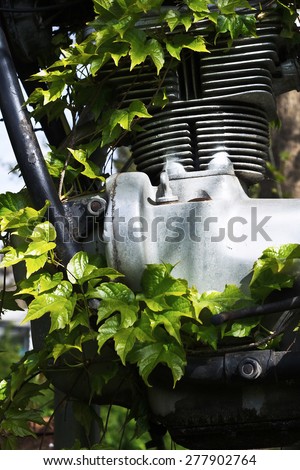 Retro motorcycle exhibition overgrown with ivy. Since the nature of technological change displaces.