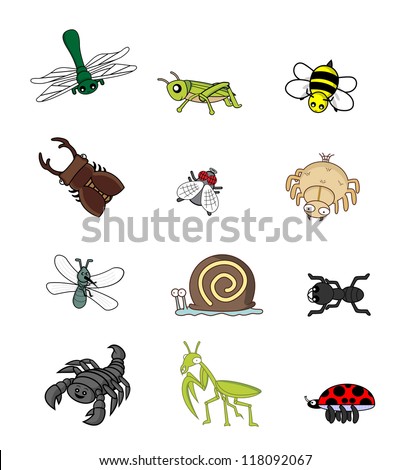 insect animal set