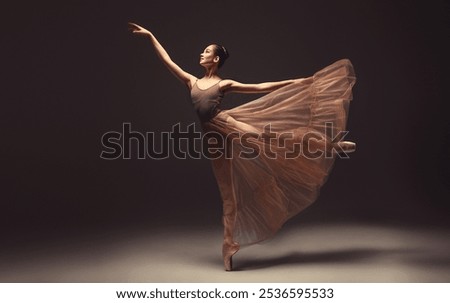 Similar – Image, Stock Photo Professional Woman Ballet Dancer