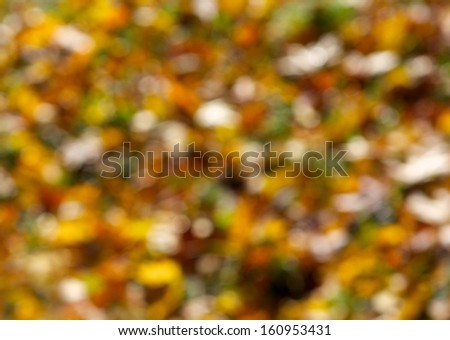 Autumn bokeh background. Autumn or summer abstract nature background with colorful autumn leaves in blur. Colorful autumn background in blur. Bokeh
