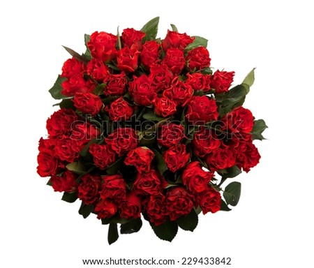 Big bouquet of red roses, anniversary bouquet, many red roses isolated in white background, 40 roses, 45 roses, million roses