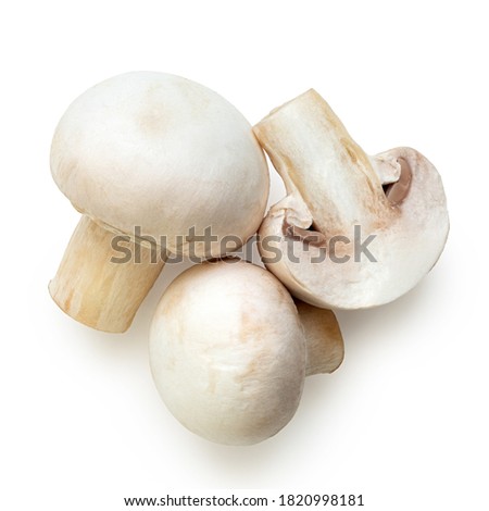 Similar – Image, Stock Photo Fresh Champignon mushrooms on gray table