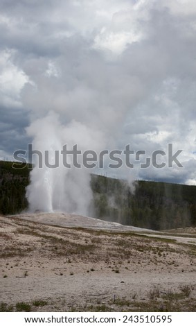A view of Old Faithful geyser at Yellowstone National Park.