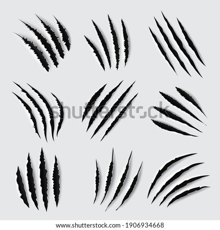Claw scratches and marks vector design of animal paws torn traces, slashes and scars. Tiger, lion, cat, bear, horror dinosaur monster and scary werewolf beast attack damages