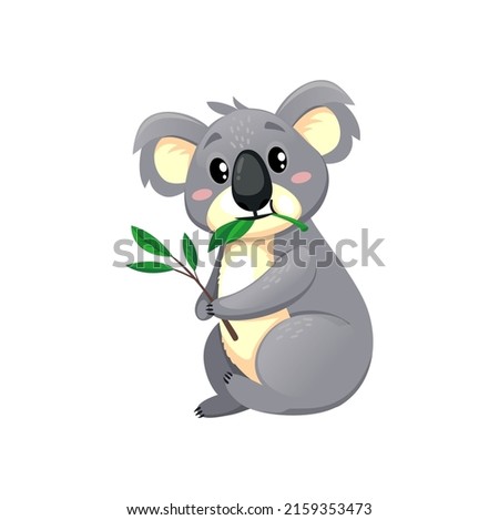 Koala bear cartoon character personage eating eucalyptus leaves isolated on white. Vector funny koala playing with eucalyptus tree branch. Cute Australian animal, gray bear sitting and foraging
