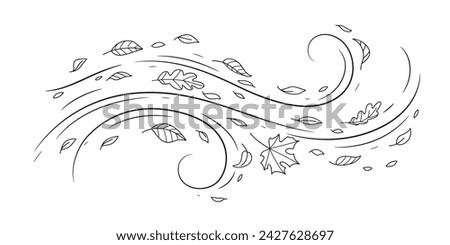 Doodle air wind and flying autumn leaves in hurricane blow or windy storm, line vector. Cartoon autumn wind with oak and maple leaf of fall season in blowing motion with spiral windy twirls