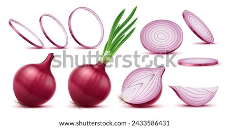 Realistic raw red onion, isolated slice and ring, whole and half vegetable, vector 3d food. Ripe bulb of red or purple onion with fresh green leaves and roots, spicy vegetable, healthy food condiment