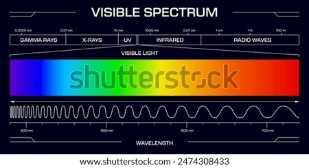 Visible spectrum light, Vector diagram, showing the range of electromagnetic wavelengths from violet to red, includes gamma rays, x-rays, uv, infrared and radio waves frequency scale in nanometers