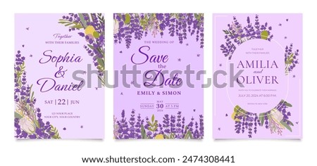 Similar – Image, Stock Photo Tulips frame with purple petals at white background. Seasonal springtime flowers