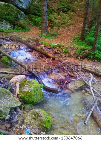 Cascade falls over mossy rocks.