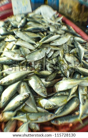 Fresh fish at wet market - close up with focus effects