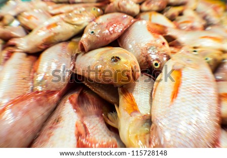 Fresh fish at wet market - close up with focus effects