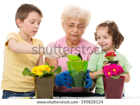 Gardening, planting - grandmother with grandchildren planting flowers into the flowerpot, isolated over white