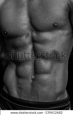 Muscled male abs in black and white