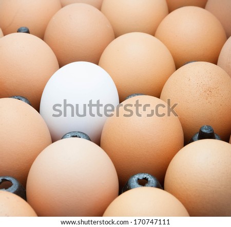 Egg in black package