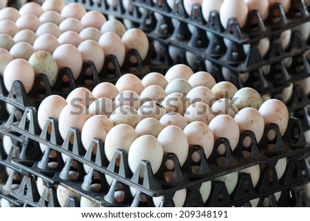 Duck Eggs in the black package