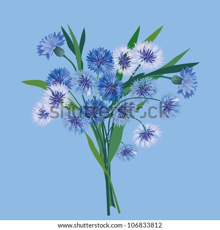 flower bouquet isolated. cornflower blue bouquet.  vector background.