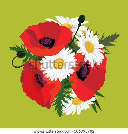 flower bouquet isolated. bouquets with chamomile and poppy. meadow flowers background.