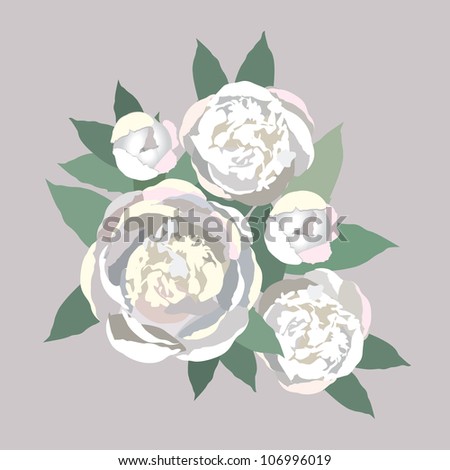 flower bouquet isolated. white flowers peony. vector background.