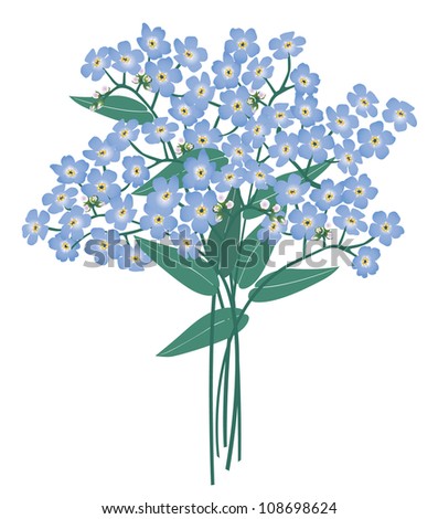 flower bouquet isolated. blue flowers forget me not spring background. forget-me-not garden flowers illustration.