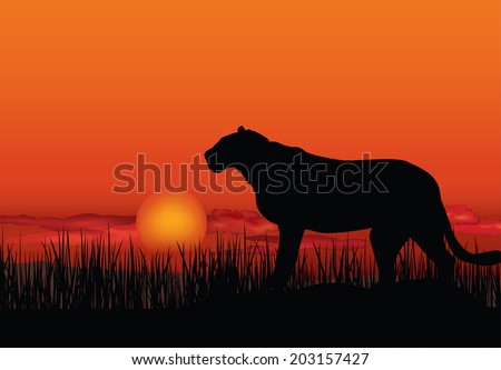 African landscape with animal silhouette. Savanna sunset background.