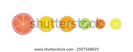 Citrus fruits set. Lemon, lime, citron, orange, mandarin and grapefruit slice pieces isolated over white background.  Vector colorful illustration in realistic style