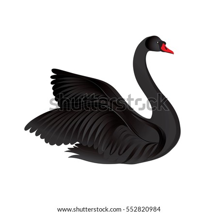 Black bird isolated over white background. Swans silhouette