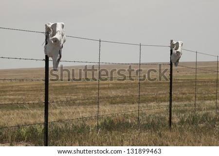 Fence with cow skulls around western ranch.