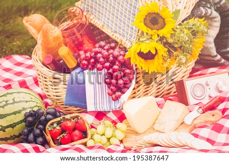 Summer picnic with a basket of food in the park.