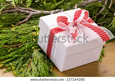 Christmas present in red box on live evergreen branches.
