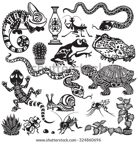 set with reptiles, amphibians and insect . Cartoon animals of terrarium . Black and white images