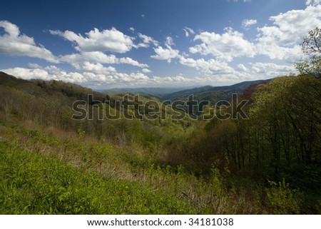 Spring from Newfound Gap Rd, Great Smoky Mountains National Park, TN-NC