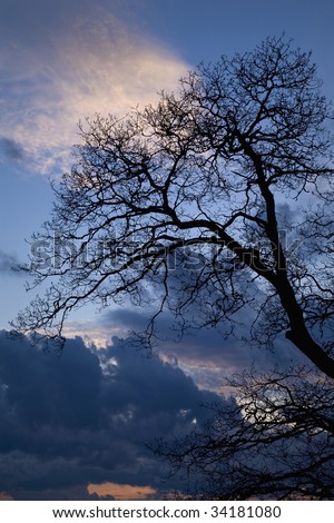 Clouds & Tree Silhouette at Sunset, Blue Ridge Parkway, NC