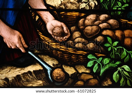 Potato Harvest. Stained glass window created by F. Zettler (1878-1911) at the German Church (St. Gertrude\'s church) in Gamla Stan, Stockholm.