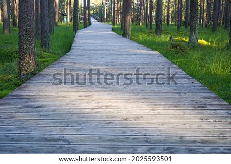 wooden pathway in peat bog nature reserve in Nowy Targ, Poland Imagine de stoc © 