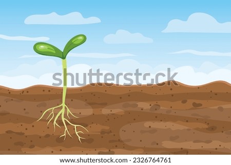 young plant growing from the soil with cross section of roots; spring, new life concept - vector illustration