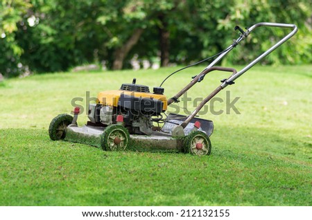 cutting the grass with lawn mower in green grass.
