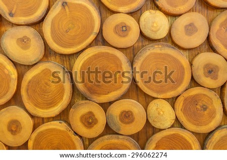 Wood log pile background, beautiful surface.