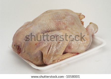 fresh chicken-meat