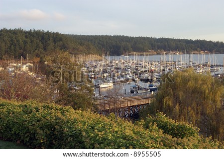 A view of the harbor in Friday Harbor, WA shortly after sunrise.